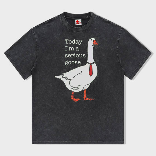 Today I'm A Serious Goose Unisex Shirt